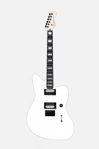 Fender-Jazzmaster-jim-root-grau