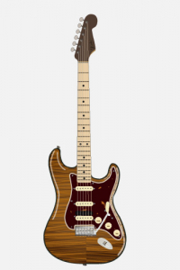Rarities-Flame-Maple-Top-Stratocaster_grau